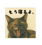 サビ猫のしずくちゃんスタンプ（個別スタンプ：3）