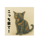 サビ猫のしずくちゃんスタンプ（個別スタンプ：5）