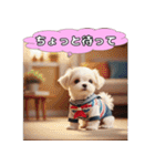 ふわふわマルチーズの毎日スタンプ（個別スタンプ：18）