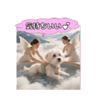ふわふわマルチーズの毎日スタンプ（個別スタンプ：34）