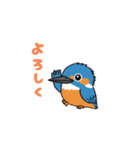カワセミン（挨拶集 その1）（個別スタンプ：3）