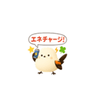 しまちゃんと一緒（個別スタンプ：3）