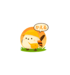 しまちゃんと一緒（個別スタンプ：5）