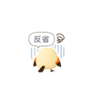 しまちゃんと一緒（個別スタンプ：12）