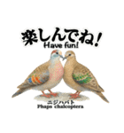 世界の鳩2（個別スタンプ：6）