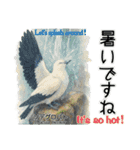 世界の鳩2（個別スタンプ：14）