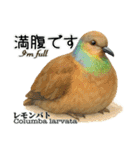 世界の鳩2（個別スタンプ：19）
