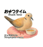世界の鳩2（個別スタンプ：21）