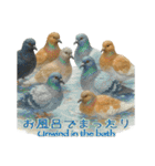 世界の鳩2（個別スタンプ：26）