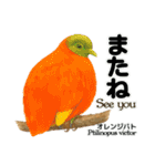 世界の鳩2（個別スタンプ：28）