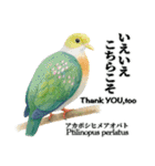 世界の鳩2（個別スタンプ：32）