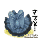 世界の鳩2（個別スタンプ：34）