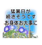 マダム達の盛夏挨拶 No121（個別スタンプ：7）