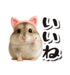 毎日送りやすい♪猫耳ハムの日常フレーズ（個別スタンプ：4）
