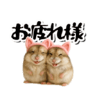 毎日送りやすい♪猫耳ハムの日常フレーズ（個別スタンプ：5）