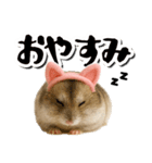 毎日送りやすい♪猫耳ハムの日常フレーズ（個別スタンプ：6）