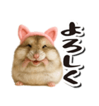 毎日送りやすい♪猫耳ハムの日常フレーズ（個別スタンプ：7）