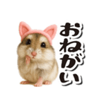 毎日送りやすい♪猫耳ハムの日常フレーズ（個別スタンプ：8）