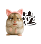 毎日送りやすい♪猫耳ハムの日常フレーズ（個別スタンプ：17）