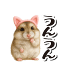 毎日送りやすい♪猫耳ハムの日常フレーズ（個別スタンプ：19）