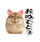 毎日送りやすい♪猫耳ハムの日常フレーズ（個別スタンプ：20）