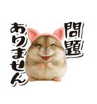 毎日送りやすい♪猫耳ハムの日常フレーズ（個別スタンプ：21）