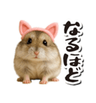 毎日送りやすい♪猫耳ハムの日常フレーズ（個別スタンプ：22）