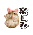 毎日送りやすい♪猫耳ハムの日常フレーズ（個別スタンプ：24）