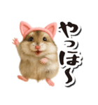 毎日送りやすい♪猫耳ハムの日常フレーズ（個別スタンプ：25）