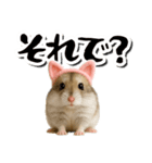 毎日送りやすい♪猫耳ハムの日常フレーズ（個別スタンプ：28）