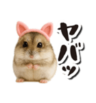 毎日送りやすい♪猫耳ハムの日常フレーズ（個別スタンプ：29）