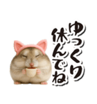 毎日送りやすい♪猫耳ハムの日常フレーズ（個別スタンプ：30）