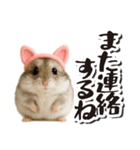 毎日送りやすい♪猫耳ハムの日常フレーズ（個別スタンプ：31）