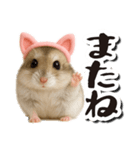 毎日送りやすい♪猫耳ハムの日常フレーズ（個別スタンプ：32）