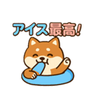 もちもち柴犬・夏まっさかり！（個別スタンプ：2）