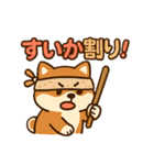 もちもち柴犬・夏まっさかり！（個別スタンプ：3）