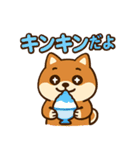 もちもち柴犬・夏まっさかり！（個別スタンプ：5）