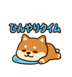 もちもち柴犬・夏まっさかり！（個別スタンプ：8）