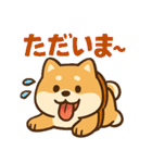 もちもち柴犬・夏まっさかり！（個別スタンプ：9）