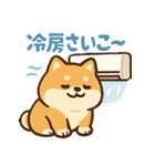 もちもち柴犬・夏まっさかり！（個別スタンプ：10）