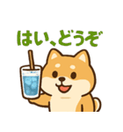 もちもち柴犬・夏まっさかり！（個別スタンプ：13）