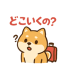 もちもち柴犬・夏まっさかり！（個別スタンプ：14）