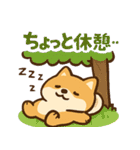 もちもち柴犬・夏まっさかり！（個別スタンプ：16）