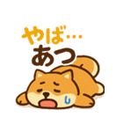 もちもち柴犬・夏まっさかり！（個別スタンプ：17）