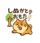 もちもち柴犬・夏まっさかり！（個別スタンプ：18）