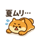 もちもち柴犬・夏まっさかり！（個別スタンプ：19）