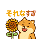 もちもち柴犬・夏まっさかり！（個別スタンプ：20）