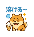 もちもち柴犬・夏まっさかり！（個別スタンプ：22）