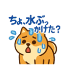 もちもち柴犬・夏まっさかり！（個別スタンプ：23）