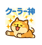 もちもち柴犬・夏まっさかり！（個別スタンプ：24）